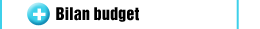 Bilan budget